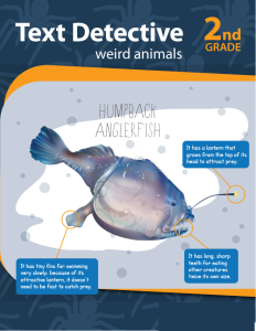 text-detective-weird-animals-workbook