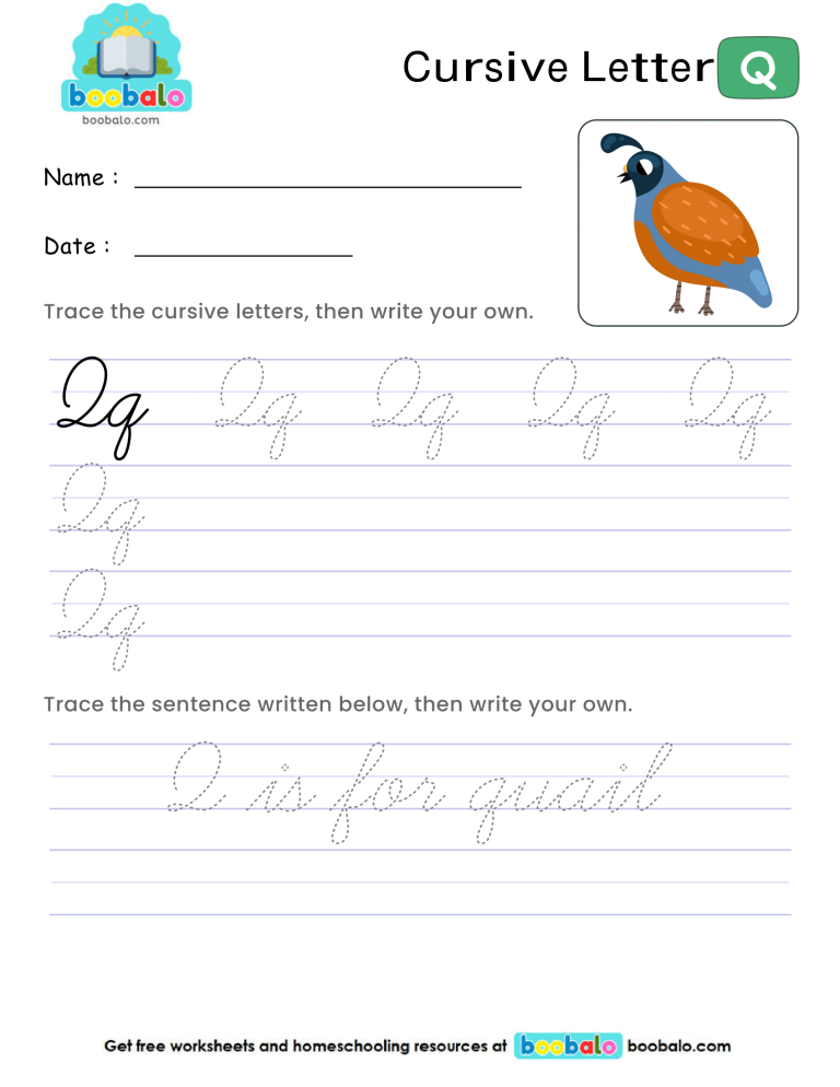 Letter Q Cursive Writing Worksheet