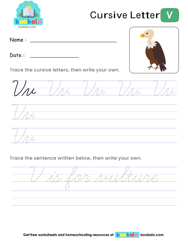 Letter V Cursive Writing Worksheet