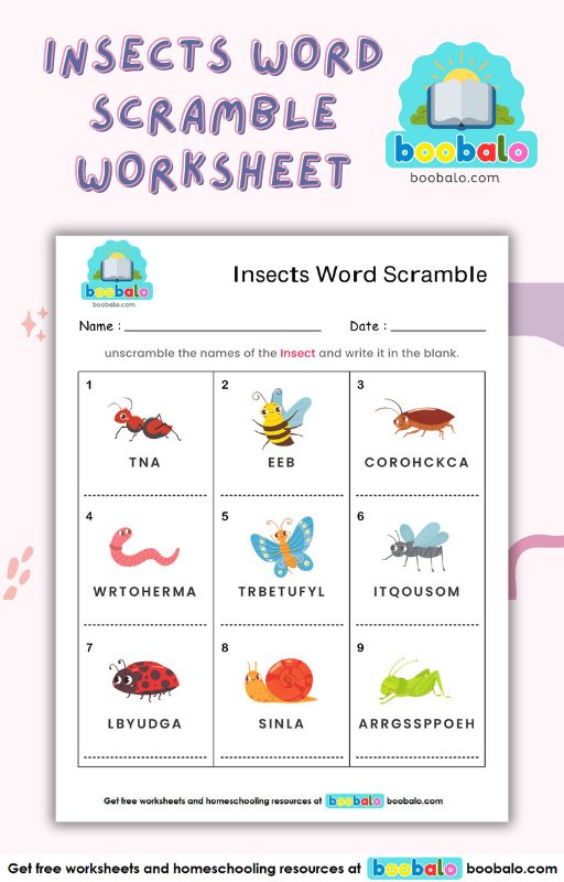 Spelling Word Scramble Insects Worksheet